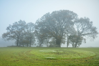 BUITEN BEELD Foto: 306060