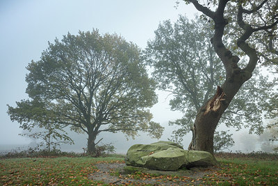 BUITEN BEELD Foto: 306063