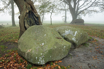 BUITEN BEELD Foto: 306066