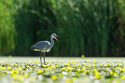BUITEN BEELD Foto: 306097