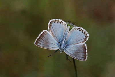 BUITEN BEELD Foto: 306145