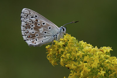 BUITEN BEELD Foto: 306149