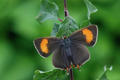 BUITEN BEELD Foto: 306164