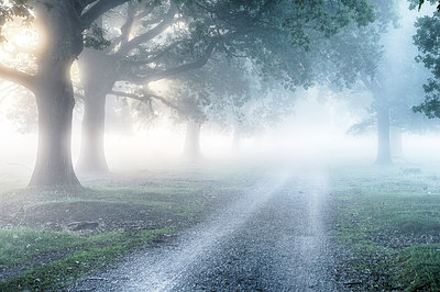 BUITEN BEELD Foto: 306252
