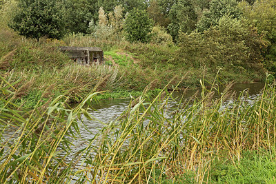 BUITEN BEELD Foto: 306305