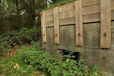 BUITEN BEELD Foto: 306328