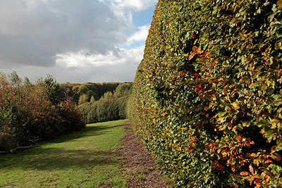 BUITEN BEELD Foto: 306340