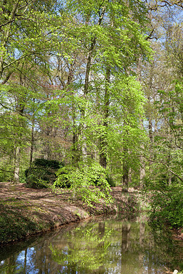 BUITEN BEELD Foto: 306347