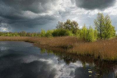 BUITEN BEELD Foto: 306362