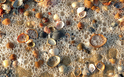 BUITEN BEELD Foto: 306363