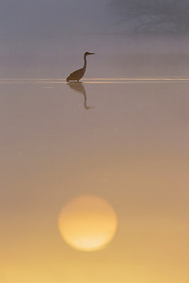 BUITEN BEELD Foto: 306379