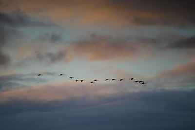 BUITEN BEELD Foto: 306380