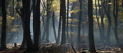 BUITEN BEELD Foto: 306389