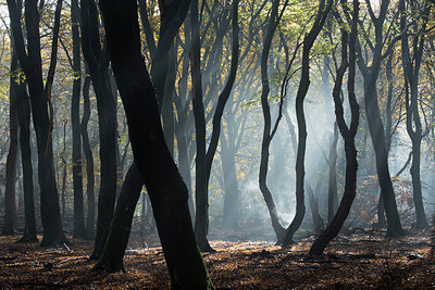 BUITEN BEELD Foto: 306395