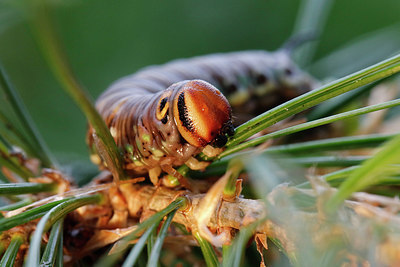 BUITEN BEELD Foto: 306402