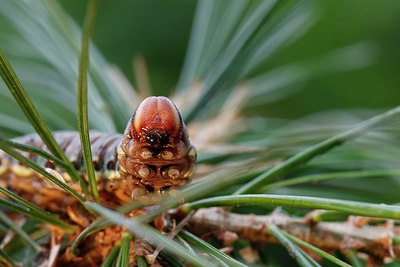 BUITEN BEELD Foto: 306403