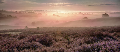 BUITEN BEELD Foto: 306429