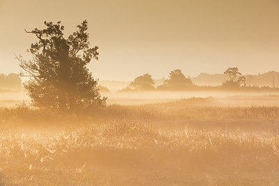 BUITEN BEELD Foto: 306448