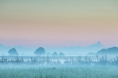 BUITEN BEELD Foto: 306473