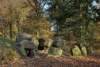 BUITEN BEELD Foto: 306497
