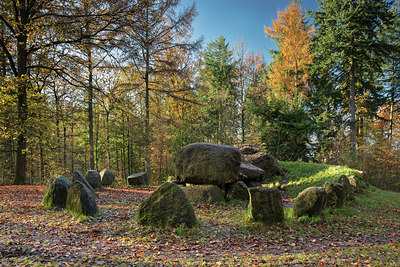 BUITEN BEELD Foto: 306499