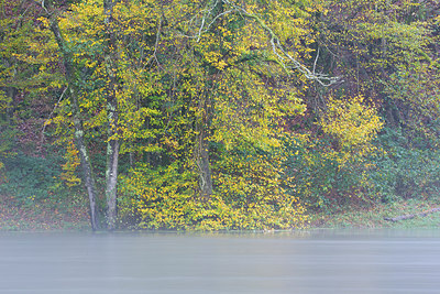 BUITEN BEELD Foto: 306683