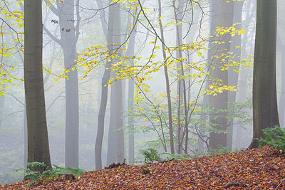 BUITEN BEELD Foto: 306702