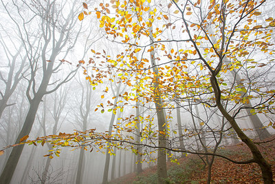 BUITEN BEELD Foto: 306732