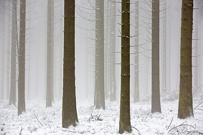 BUITEN BEELD Foto: 306739