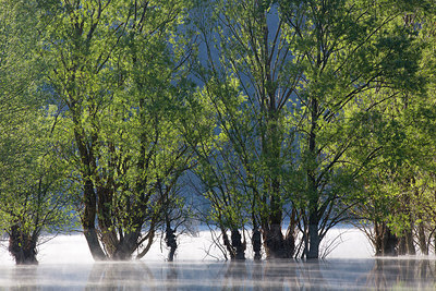 BUITEN BEELD Foto: 306747