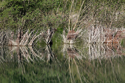 BUITEN BEELD Foto: 306750