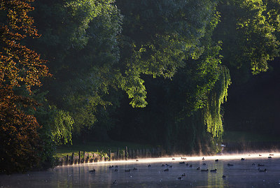 BUITEN BEELD Foto: 306772