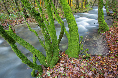 BUITEN BEELD Foto: 306779