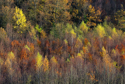 BUITEN BEELD Foto: 306780