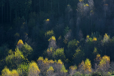 BUITEN BEELD Foto: 306781