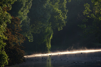 BUITEN BEELD Foto: 306951