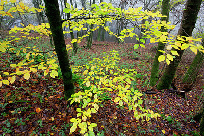 BUITEN BEELD Foto: 306956