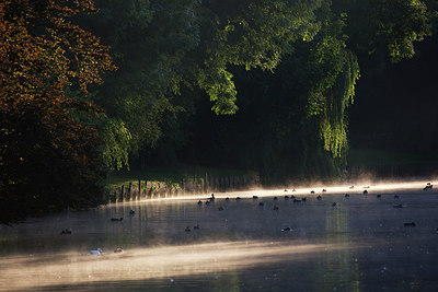 BUITEN BEELD Foto: 307011