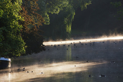 BUITEN BEELD Foto: 307038