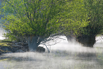BUITEN BEELD Foto: 307045