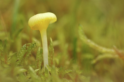 BUITEN BEELD Foto: 307072