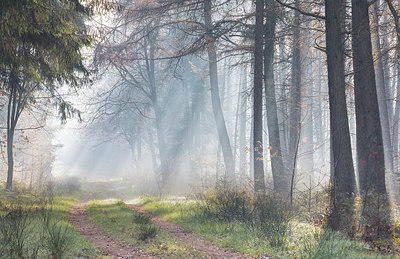 BUITEN BEELD Foto: 307125