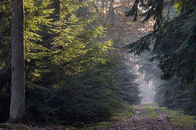 BUITEN BEELD Foto: 307126