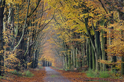 BUITEN BEELD Foto: 307129