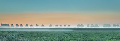 BUITEN BEELD Foto: 307135