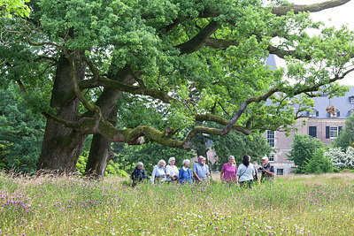BUITEN BEELD Foto: 307139