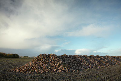 BUITEN BEELD Foto: 307143