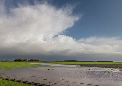 BUITEN BEELD Foto: 307156