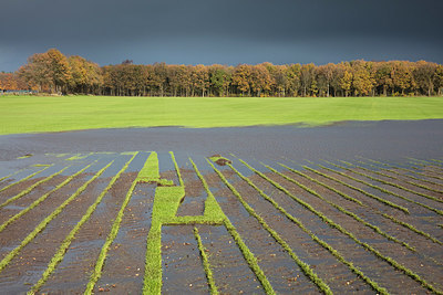 BUITEN BEELD Foto: 307157