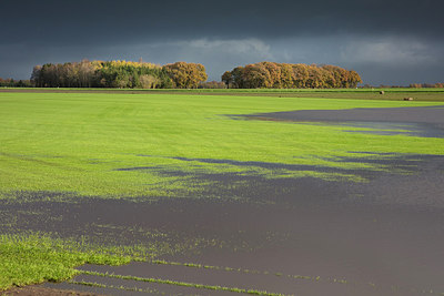 BUITEN BEELD Foto: 307158